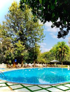 a large blue swimming pool with chairs and trees at De Leopol Hotel in Addis Ababa