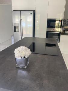 Kuchyň nebo kuchyňský kout v ubytování Belle Luxury Apartments