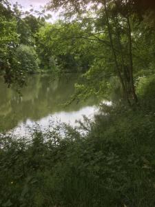 Zdjęcie z galerii obiektu LA MABONNAIS w mieście Pleurtuit