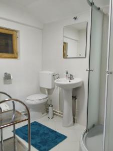 een badkamer met een toilet, een wastafel en een douche bij Mountain Soul Rest in Žabljak