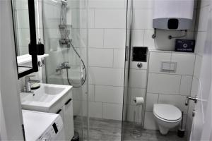 Koupelna v ubytování Tiziano T1