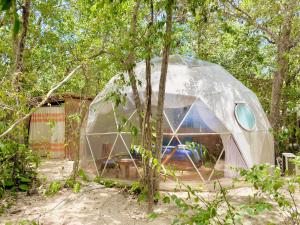 Zahrada ubytování Ku kuk Glamping