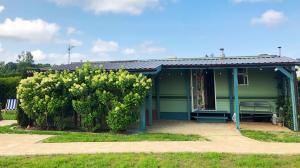 a green house with a tree in front of it at Mandala Mielno Camping in Mielno