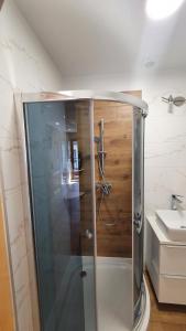 Kúpeľňa v ubytovaní Apartament Orkisz + 29 fotografií