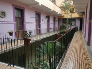 Fotografie z fotogalerie ubytování HOTEL LIMÓN v destinaci Xalapa