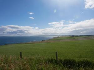 a field of green grass with the ocean in the background at Fabulous location with sea and castle view - NC500 in Keiss
