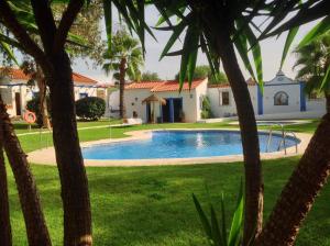 una piscina en un patio con palmeras en Hotel Rural Terrablanca, en Villablanca