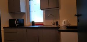 Kuchnia lub aneks kuchenny w obiekcie White Room Wrocław przy Wyspie Opatowickiej