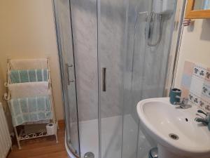a bathroom with a shower and a sink at Berwick Hall Cottage in Moira