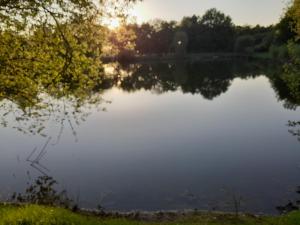 Imagen de la galería de Mobilhome, en Le Pont Legé 6 fotos más