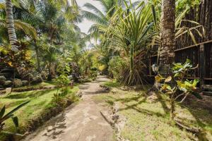 Zahrada ubytování Bella Vista Resort Belize