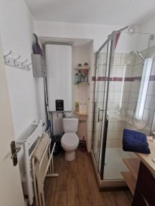 a bathroom with a toilet and a glass shower at Studio les fleury in Mieussy