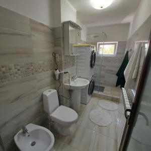Ванная комната в Apartament AntoniaS