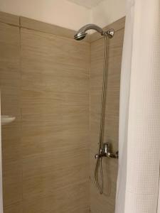 a shower with a shower head in a bathroom at Comodo monoambiente bien ubicado en Cordon in Montevideo