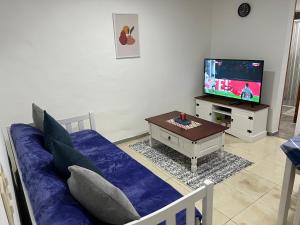 a living room with a couch and a tv at Apart Del Este 1 in Paysandú