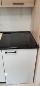 A kitchen or kitchenette at Pansion Eden