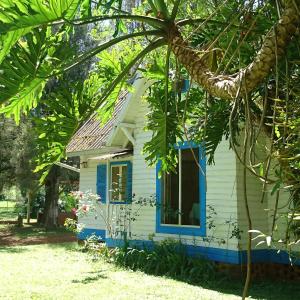 een klein huis met een blauw raam in een tuin bij Estancia las Mercedes in Eldorado