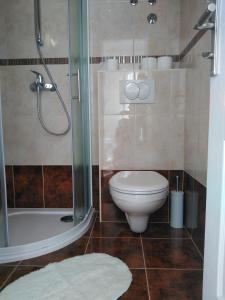 a bathroom with a toilet and a shower at Rooms with WiFi Vis - 8905 in Vis