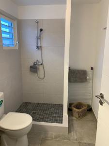 a bathroom with a toilet and a shower at Duplex Cosy au cœur de Marigot in Marigot
