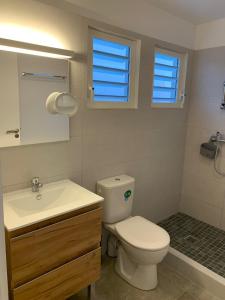 a bathroom with a toilet and a sink and a mirror at Duplex Cosy au cœur de Marigot in Marigot