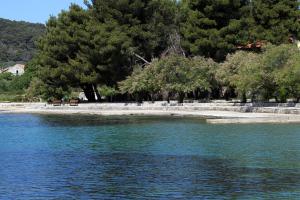 Zdjęcie z galerii obiektu Holiday apartments Veli Iz, Iz - 6253 w mieście Mali Iž