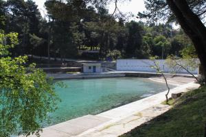 a pool of green water in a yard at Apartments with a parking space Malinska (Krk) - 5456 in Vantačići