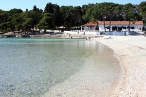 Príroda v okolí penziónu