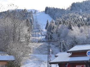 une piste de ski couverte de neige avec une remontée mécanique dans l'établissement Studio cosy entre pistes et sentiers – Parking inclus - FR-1-498-71, à Bernex 8 autres photos
