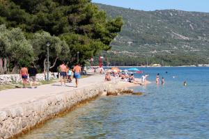 a group of people swimming in the water at a beach at Apartments with parking space Cres - 12609 in Cres