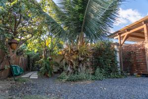 a palm tree in a garden next to a house at Douceur Tropicale Proximité plage et commerces in Punaauia