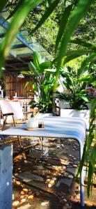 Kunming Upland International Youth Hostel ,near the city center ,2 mins walk to the subway, 2 mins walk to the Green Lake, Close to Yuan tong Temple, Old street, Yunnan University, convenient payment and visa cards are accepted外面的花园