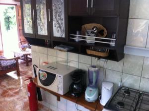 a kitchen with a counter with a toaster and a microwave at Dan Kazou Self Catering in La Digue