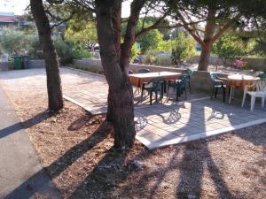 Zahrada ubytování Apartment Vir - Pedinka 294e