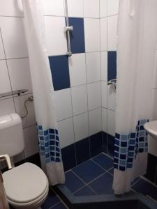 Kúpeľňa v ubytovaní Apartment Vir - Pedinka 294e