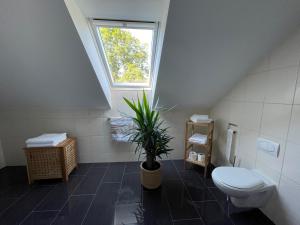 a bathroom with a toilet and a window at Ferien im Karlstal in Haigerloch