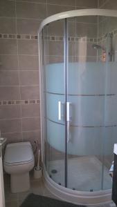a bathroom with a shower and a toilet at Chambre d'Hôtes Armoise in Lagord