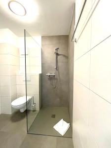 a bathroom with a shower with a toilet and a glass door at Motel XL Lounge in Traisen