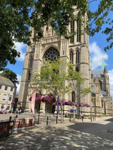 a large cathedral with a tree in front of it at Devonshire Terrace B&B in Truro