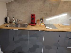 - une cuisine avec un évier et un comptoir dans l'établissement studio cocoon BORDEAUX Chartrons/ Jardin Public, à Bordeaux