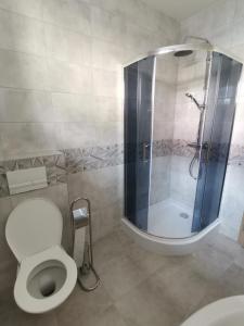 La salle de bains est pourvue de toilettes et d'une douche en verre. dans l'établissement Comenius Apartments - Apartmány na rohu, à Svidník