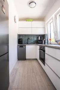 Kuchyňa alebo kuchynka v ubytovaní Dream Summer House Fonyód
