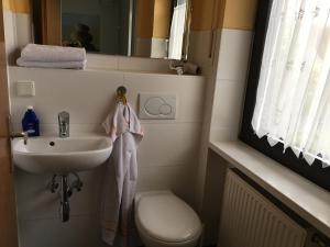 a bathroom with a sink and a toilet and a mirror at Apartment Stasch in Erlangen