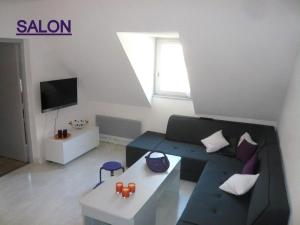 Televízia a/alebo spoločenská miestnosť v ubytovaní APPARTEMENT CLAIR ET MODERNE AU CALME