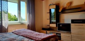 a bedroom with a bed and a tv and a window at Chata Anna in Nižné Hágy