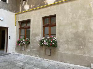 two windows with flowers on the side of a building at Apartament Nikodem in Old Town - Krakow center in Krakow