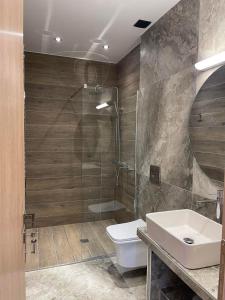 La salle de bains est pourvue de toilettes, d'un lavabo et d'une douche. dans l'établissement 11 Luxury Apartments.., à Metsovo