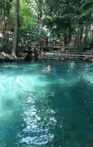 eine Gruppe von Menschen, die in einem Pool schwimmen in der Unterkunft Pakchong hostel & wildlife tour in Pak Chong