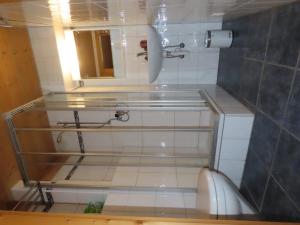 un piccolo bagno con servizi igienici e specchio di Holzhaus bei Interlaken a Goldswil