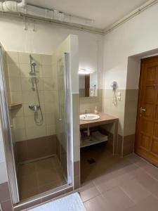 a bathroom with a shower and a sink at Panda Vendégszállás in Jászberény