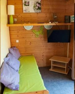 um pequeno quarto com uma cama verde e uma televisão em Domaine des Epinettes em Saint-Romain-de-Jalionas